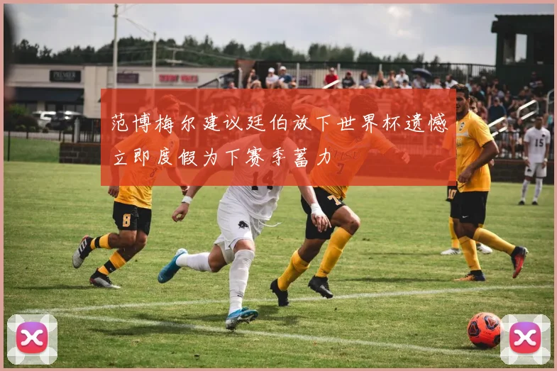范博梅尔建议廷伯放下世界杯遗憾立即度假为下赛季蓄力