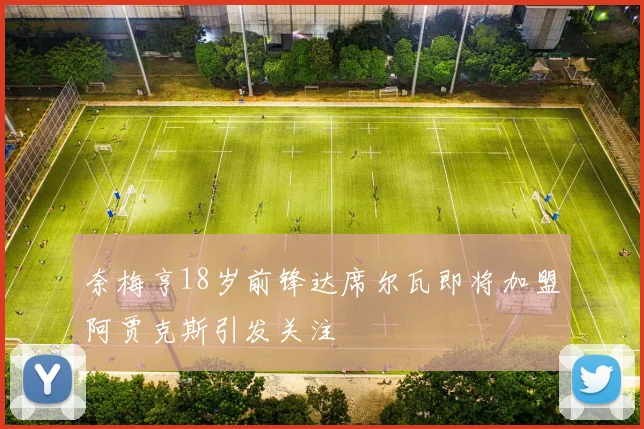 奈梅亨18岁前锋达席尔瓦即将加盟阿贾克斯引发关注