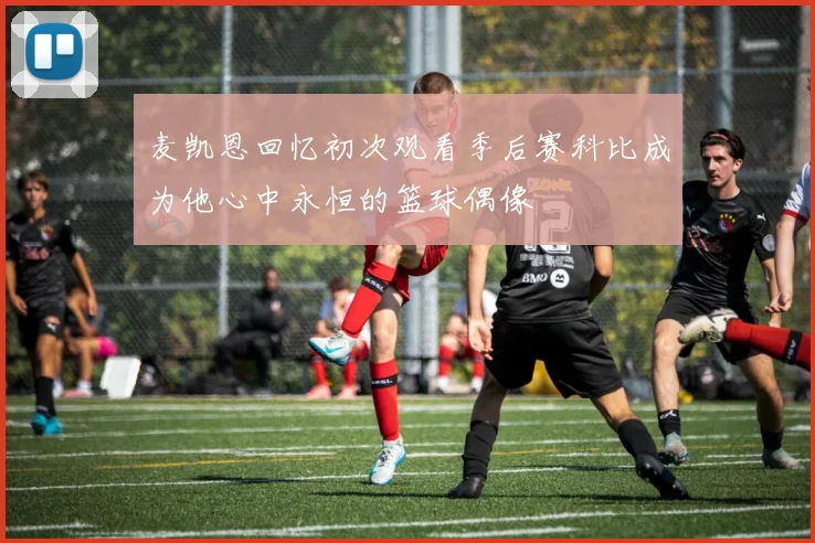 麦凯恩回忆初次观看季后赛科比成为他心中永恒的篮球偶像